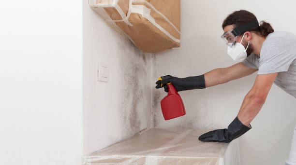 Professional Bathroom Mold Removal technician working in Lakeland, MN