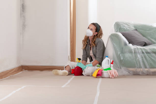 Reliable Bathroom Mold Removal contractor in Lakeland, MN by 24 Hour Mold Removal